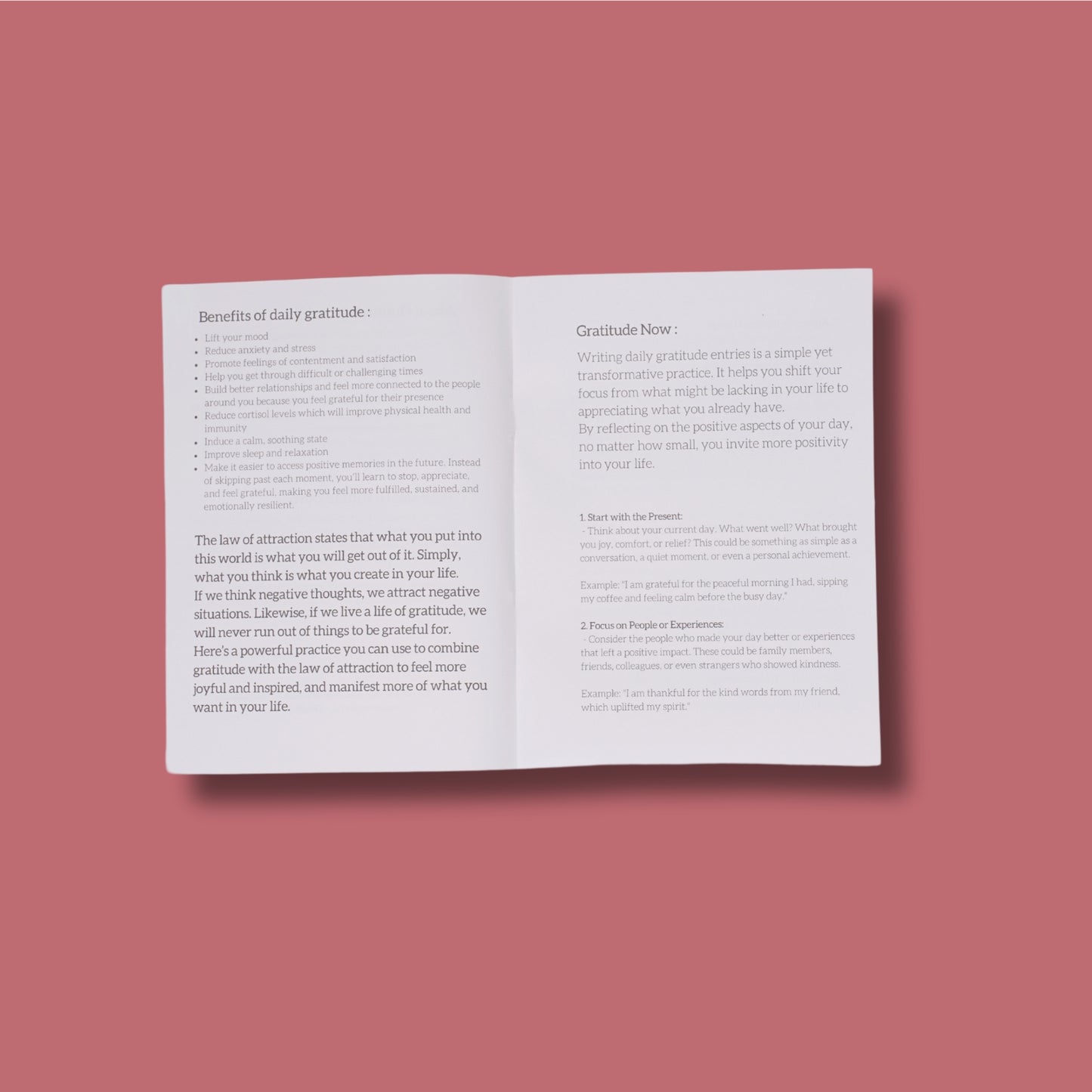 Gratitude Is My Attitude Gratitude Journal