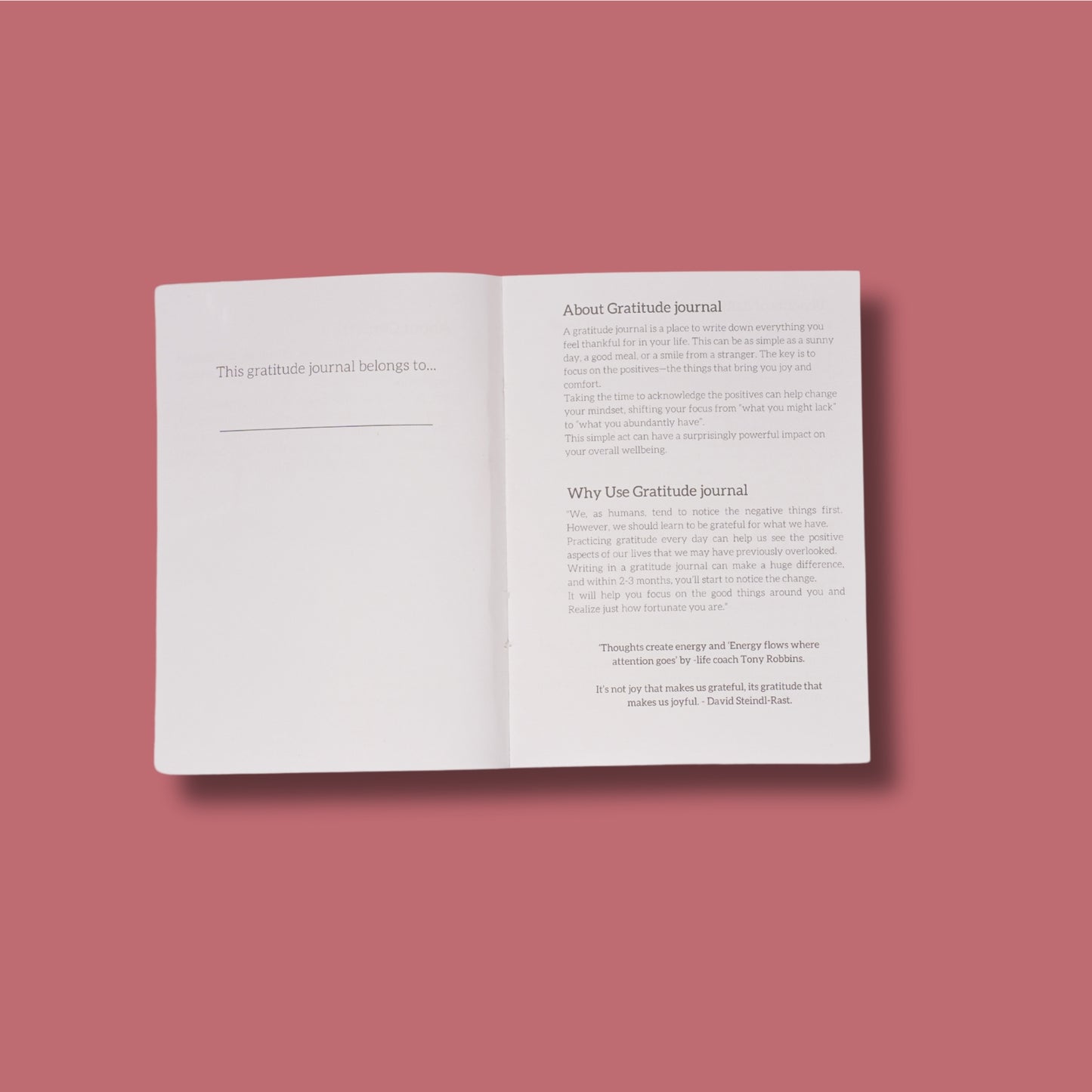 Path To Betterment Gratitude Journal