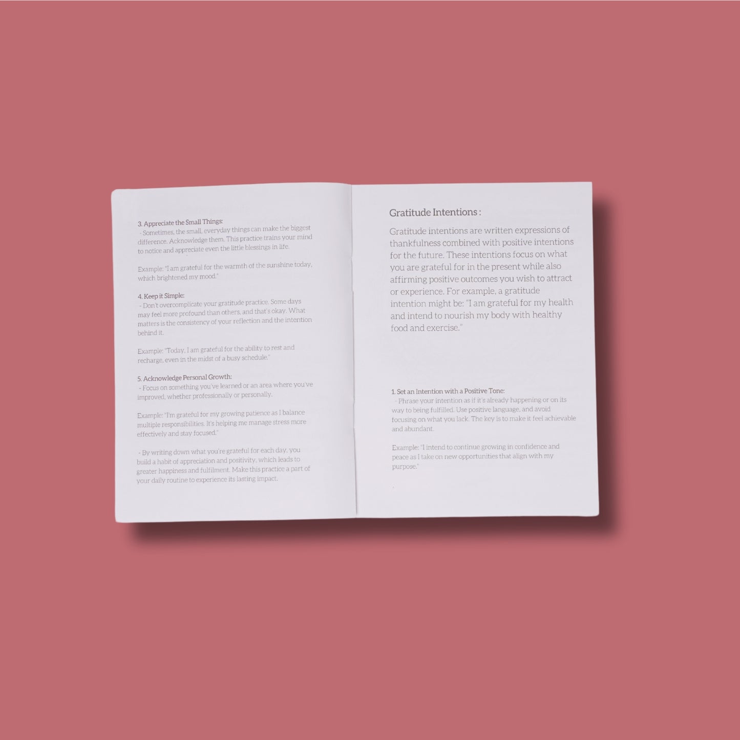 Gratitude Is My Attitude Gratitude Journal