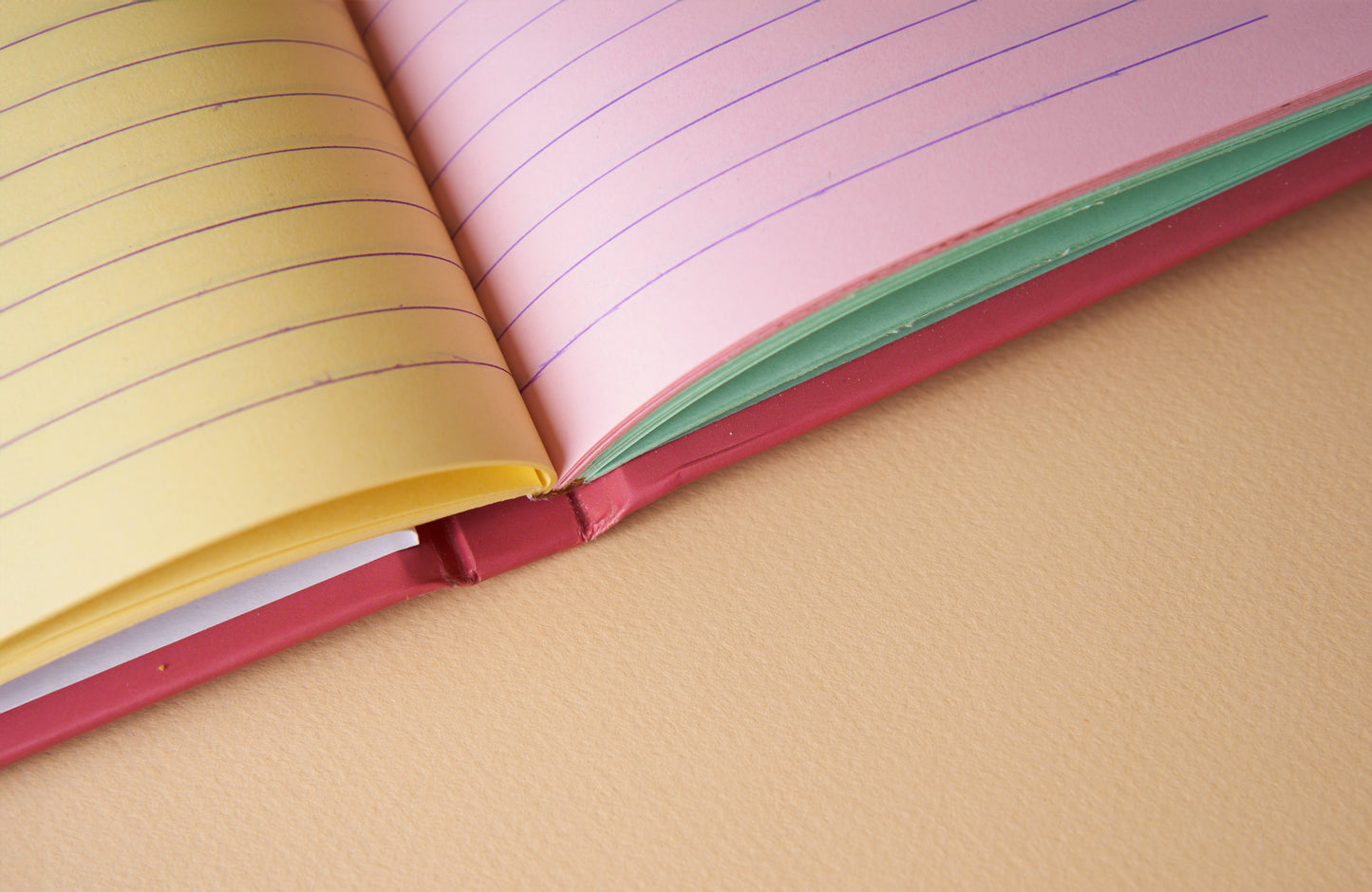 Nature Is Ahead Notebook Diary