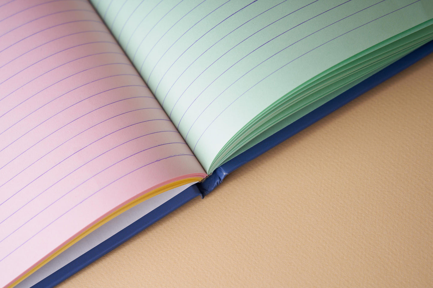 Nature Is Ahead Notebook Diary